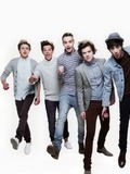 The rest of One Direction (Niall Horan, Zayn Malik, Liam Payne, Louis Tomlinson)
