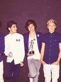 Louis, Harry, Liam, Niall, and Zayn.