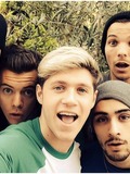 The rest of 1D