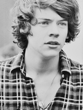 2. Harry Styles