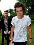 harry styles
