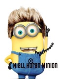 Niall Horan