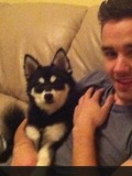 Liam Payne