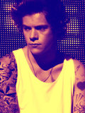 Harry E. Styles