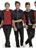 One Direction (Harry, Liam, Louis, Niall, Zayne)