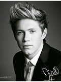 Niall Horan