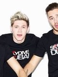 Liam Paynee and Niall Horann