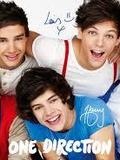 Liam Payne, Louis Tomlinson, Harry Styles