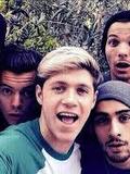 Harry Styles, Louis Tomlinson, Niall Horan, and Zayn Malik