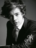 Harry Styles