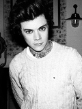 8. Harry Styles (19):