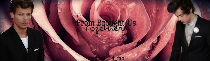 Prom brought us together (Larry Stylinson)