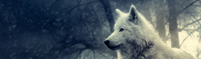 The Quiet Ones