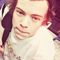 BeaniesOnHarry