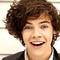 Harrys kitty