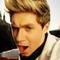 Niall's Polo Princess