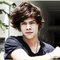 Harry's chick