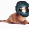 masterchief69