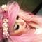 Dragon_Babee
