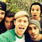 Scream1D